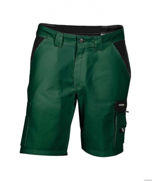Werkshort Roma