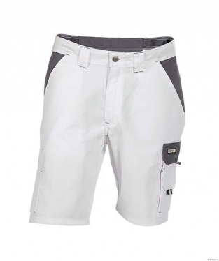 Werkshort Roma